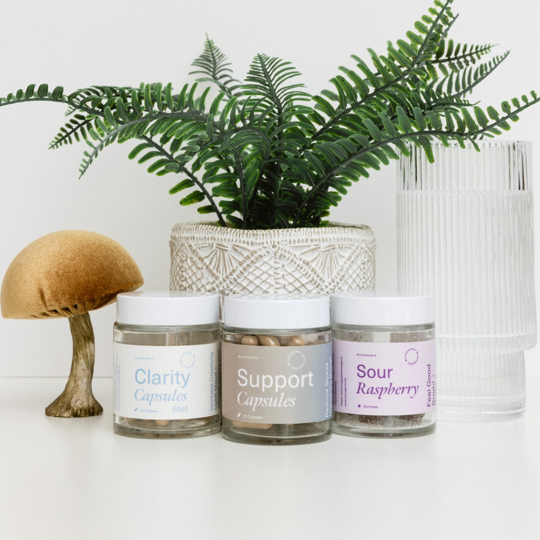 3 - The Balance Bundle