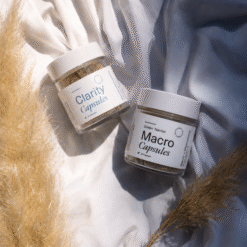 Day & Night Bundle